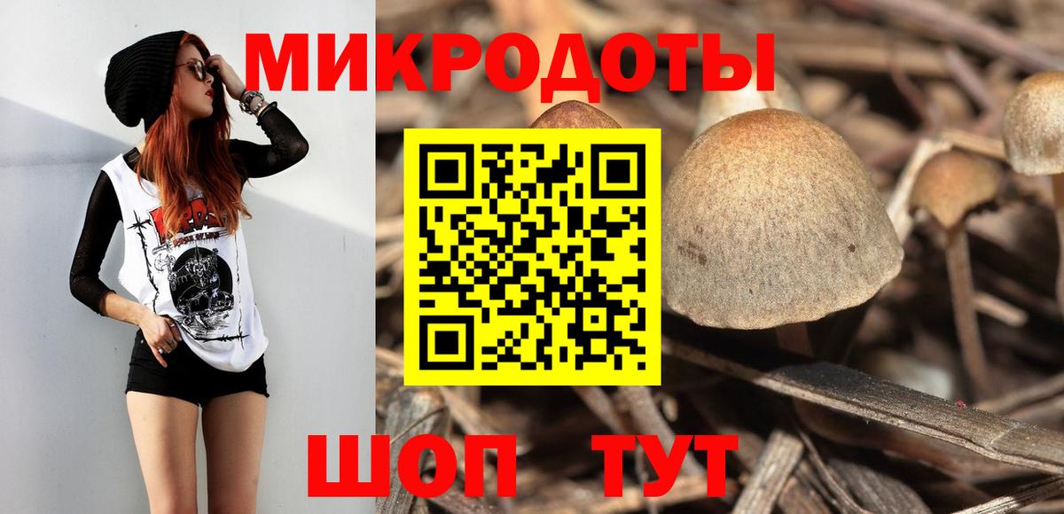 Гатчина  Псилоцибиновые грибы Psilocybine cubensis  Псилоцибиновые грибы ЛСД  купить наркотики цена  Вход с VPN 